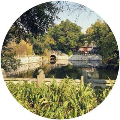 仙斩手游下载